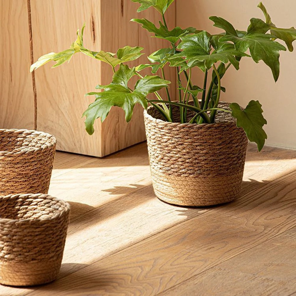 Cache-Pot pour Plantes et Fleurs Intérieur et Extérieur