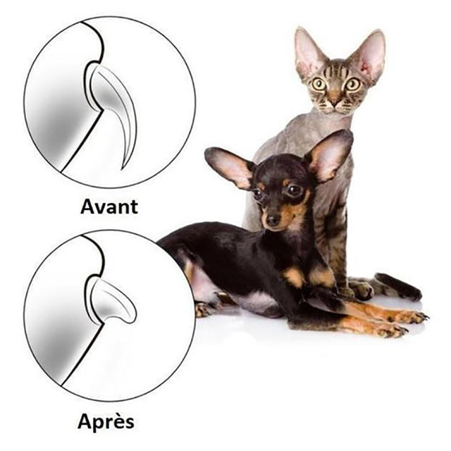 Coupe griffes pour chat et chien - Lime à ongles électrique